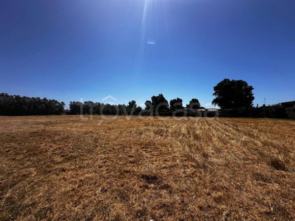 terreno agricolo in vendita a Roma in zona Piana del Sole