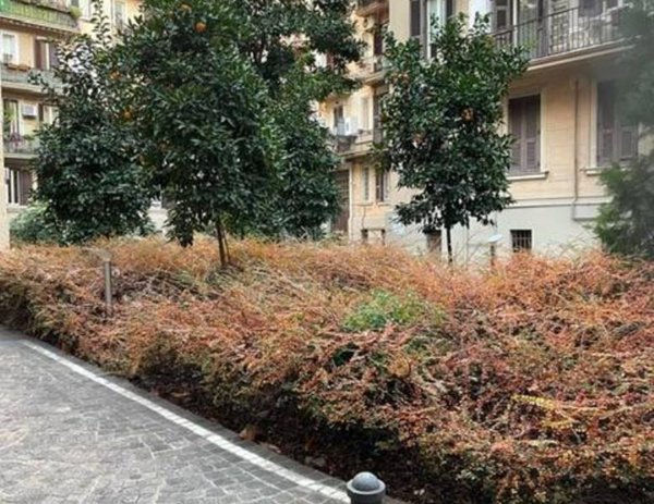 casa semindipendente in vendita a Roma in zona Trieste