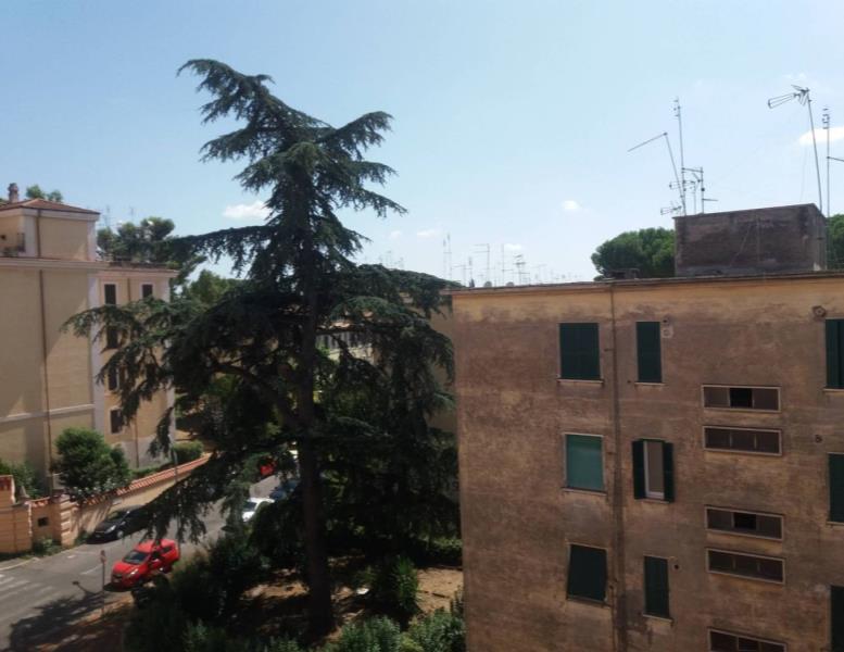 appartamento in vendita a Roma in zona Monte Sacro/Talenti