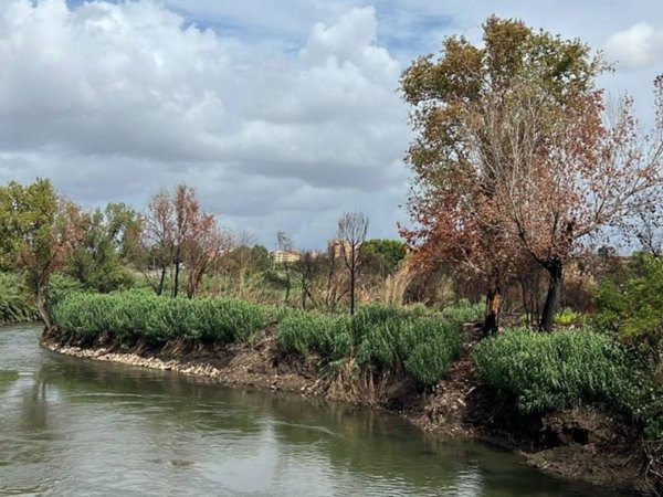 terreno agricolo in vendita a Roma in zona Ponte Mammolo