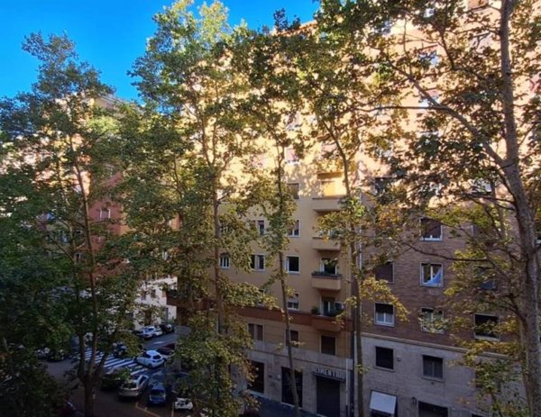 appartamento in vendita a Roma in zona Flaminio