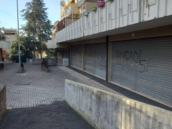 negozio in vendita a Roma in zona Tor Vergata/Torrenova