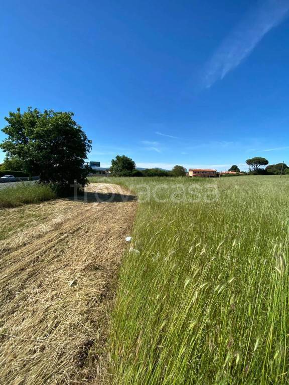 terreno agricolo in vendita a Roma in zona Valle Muricana