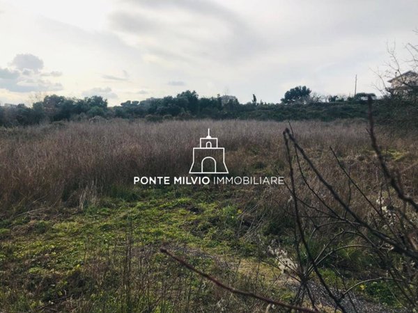 terreno agricolo in vendita a Roma in zona La Giustiniana