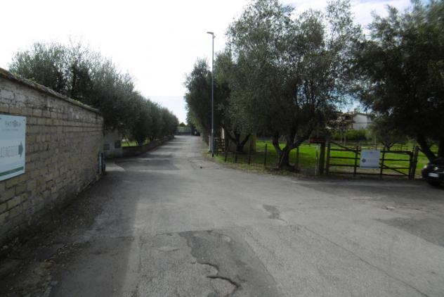 negozio in vendita a Roma
