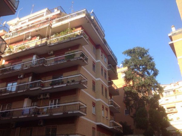 appartamento in vendita a Roma in zona Monte Sacro/Talenti