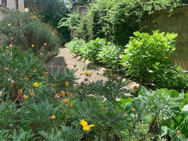 appartamento in vendita a Roma in zona Pinciano