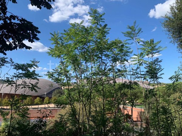 appartamento in vendita a Roma in zona Pinciano