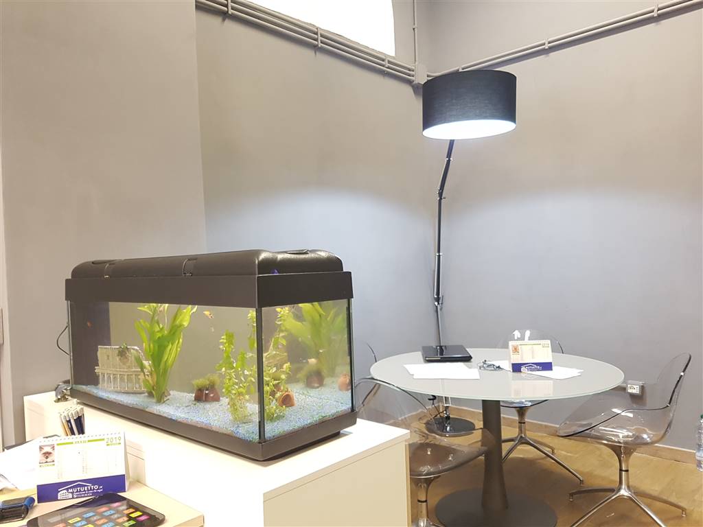 negozio in vendita a Roma in zona Celio