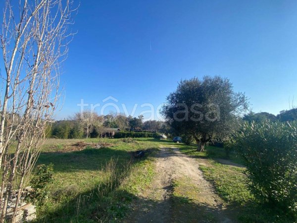 terreno agricolo in vendita a Roma in zona Castel di Guido