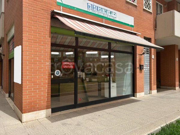 negozio in vendita a Roma in zona Castel di Leva