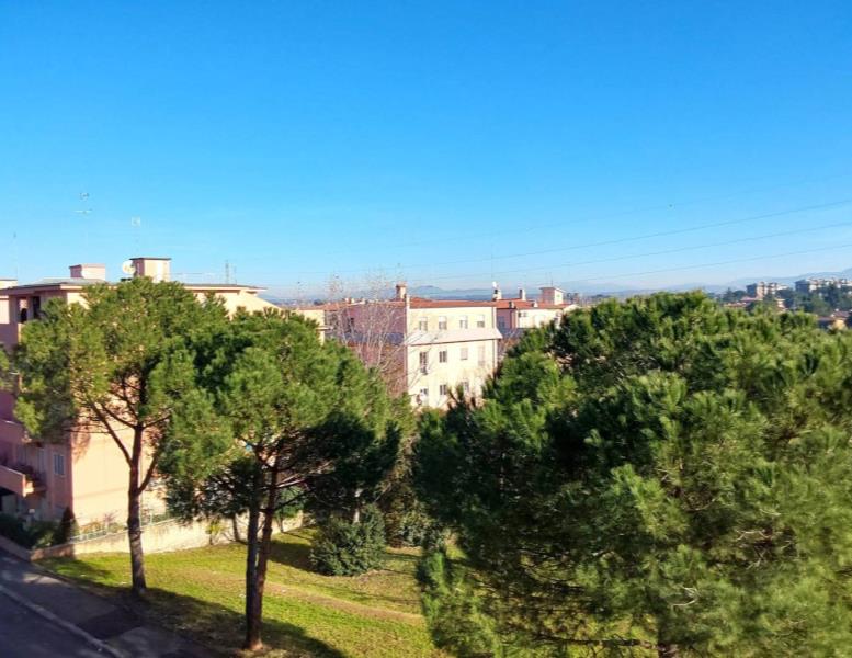 appartamento in vendita a Roma in zona Monte Sacro/Talenti