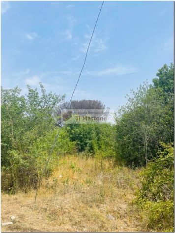 terreno agricolo in vendita a Roma in zona Castel di Decima