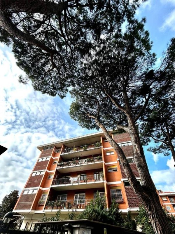 appartamento in vendita a Roma in zona Mostacciano