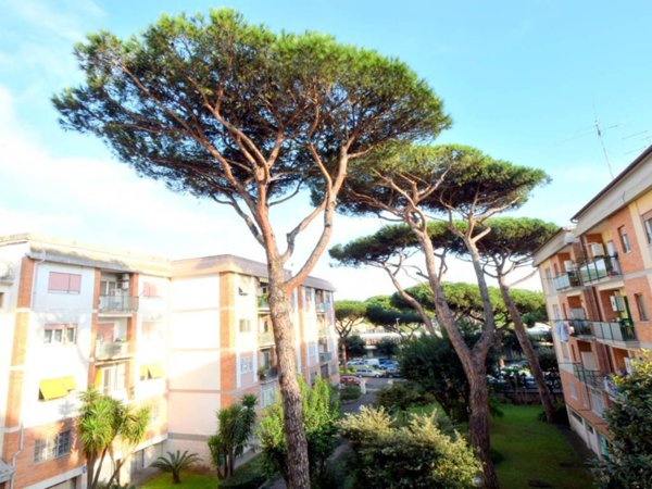 appartamento in vendita a Roma in zona Ostia