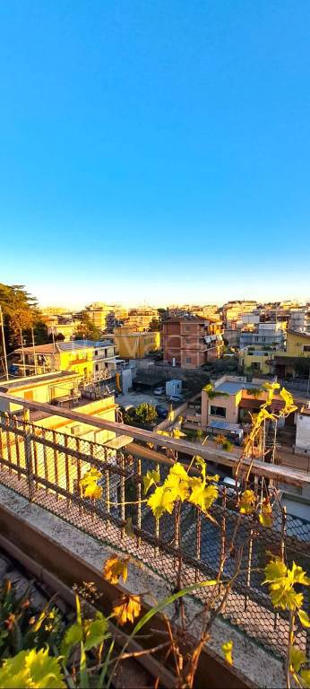 appartamento in vendita a Roma in zona Torrevecchia