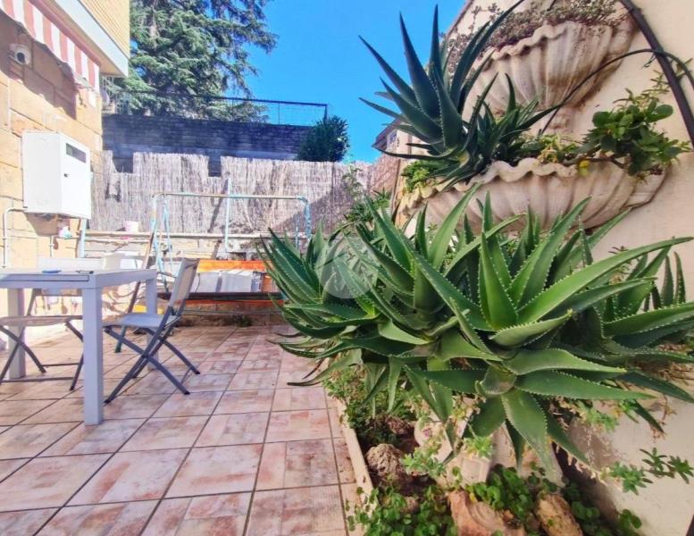 appartamento in vendita a Roma in zona Monte Sacro/Talenti