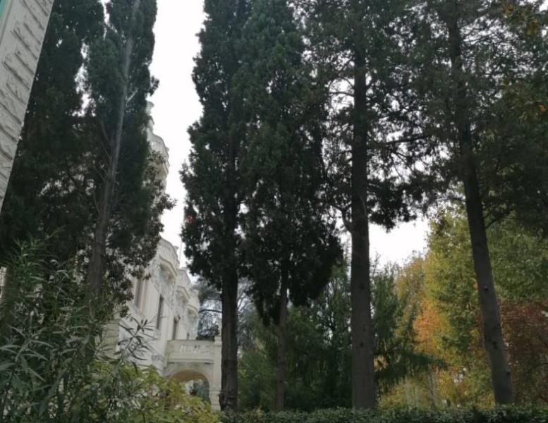 appartamento in vendita a Roma in zona Nomentano