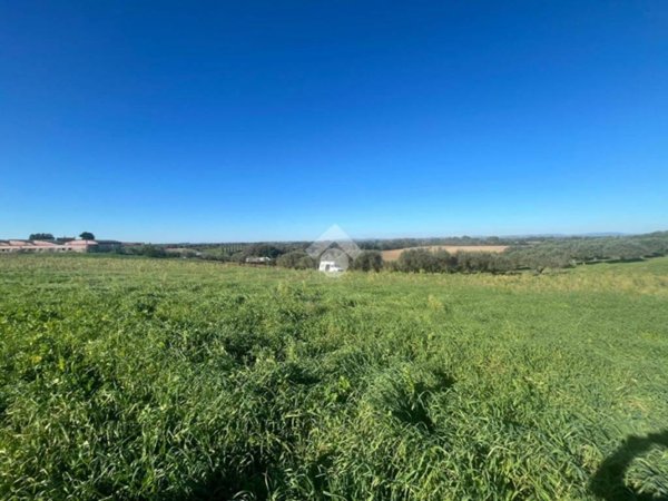 terreno agricolo in vendita a Roma in zona Olgiata