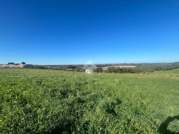 terreno agricolo in vendita a Roma in zona La Storta