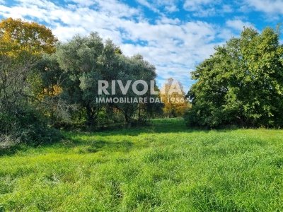 terreno agricolo in vendita a Roma in zona Della Vittoria