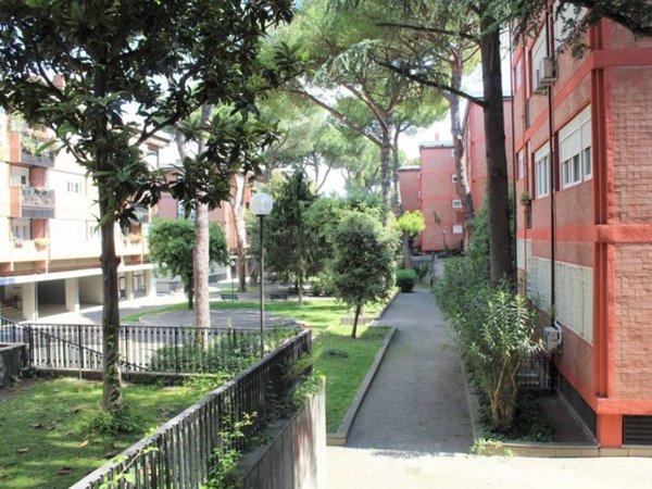 appartamento in vendita a Roma in zona Monte Sacro/Talenti