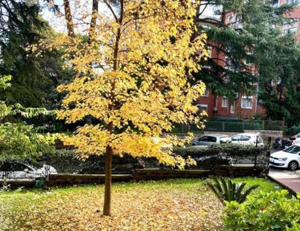appartamento in vendita a Roma in zona Salario