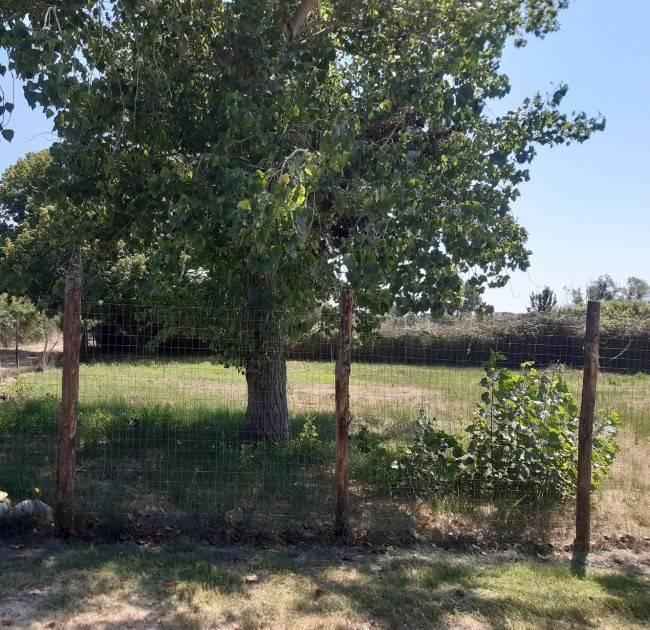 terreno agricolo in vendita a Roma in zona Casal Palocco