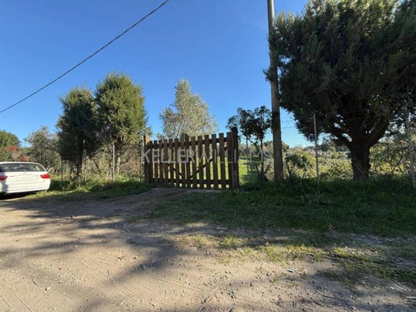 terreno agricolo in vendita a Roma in zona Cesano