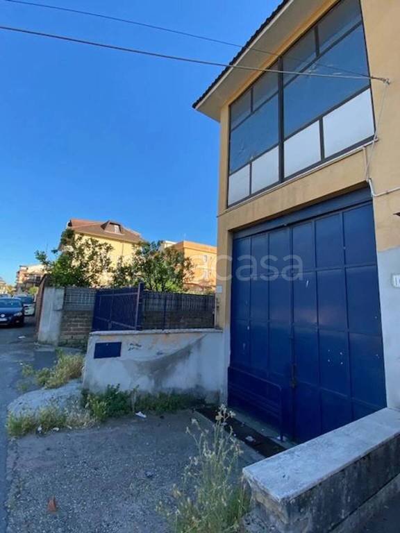 negozio in vendita a Roma in zona Borghesiana