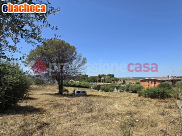 terreno edificabile in vendita a Roma