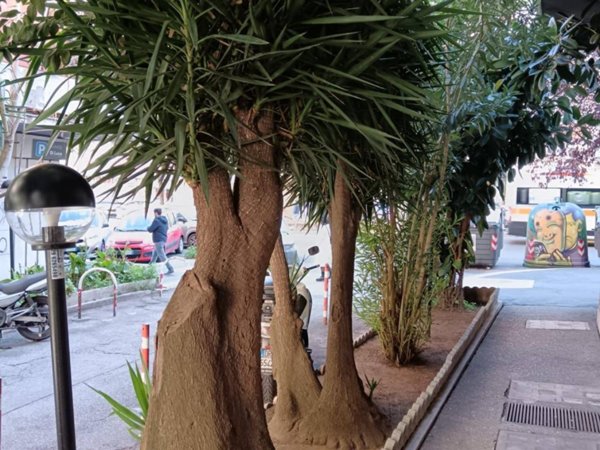 appartamento in vendita a Roma in zona Aurelio