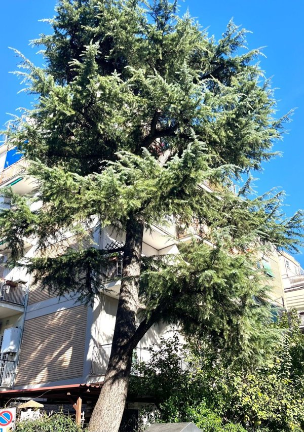 appartamento in vendita a Roma in zona Portuense