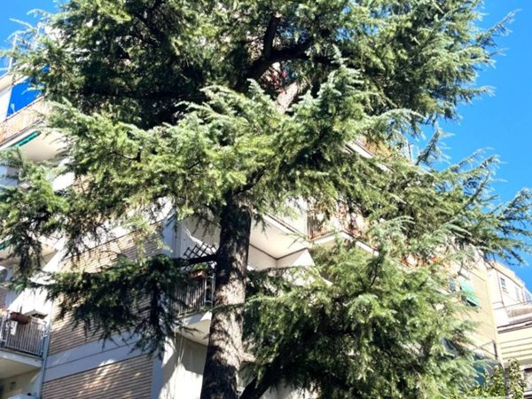 appartamento in vendita a Roma in zona Portuense