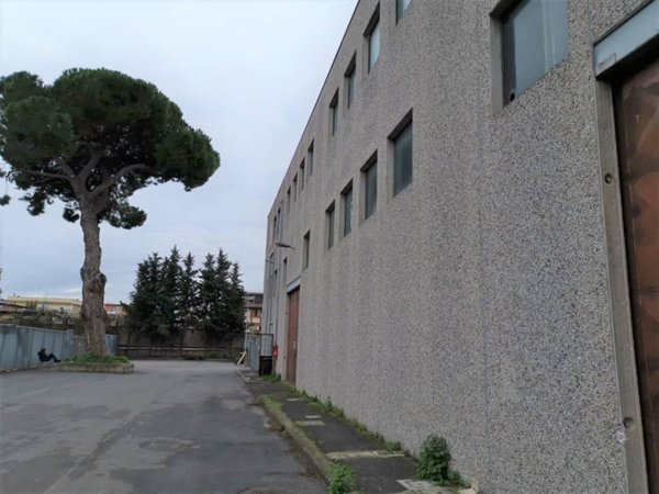 locale commerciale in vendita a Roma in zona Tor Vergata/Torrenova