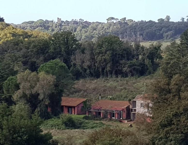 casa indipendente in vendita a Roma in zona Campo Marzio