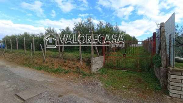 terreno agricolo in vendita a Roma in zona Finocchio