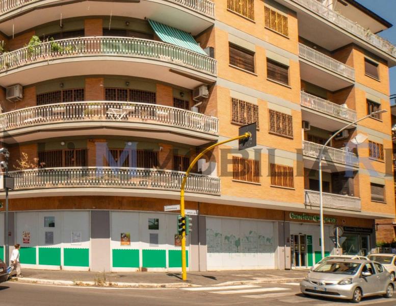 appartamento in vendita a Roma in zona Monte Sacro/Talenti