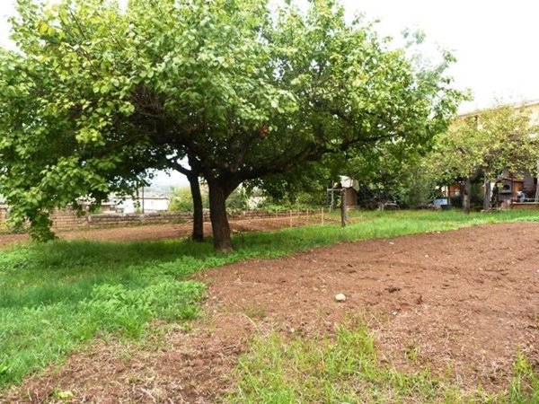 terreno agricolo in vendita a Roma in zona Valle Muricana