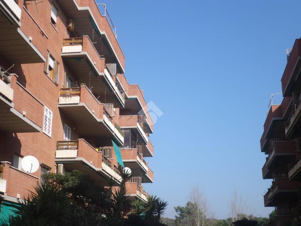 appartamento in vendita a Roma in zona Castel Fusano