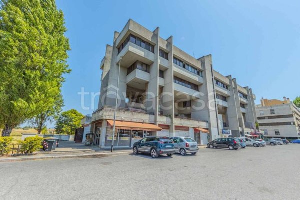 appartamento in vendita a Roma in zona Tor Vergata/Torrenova
