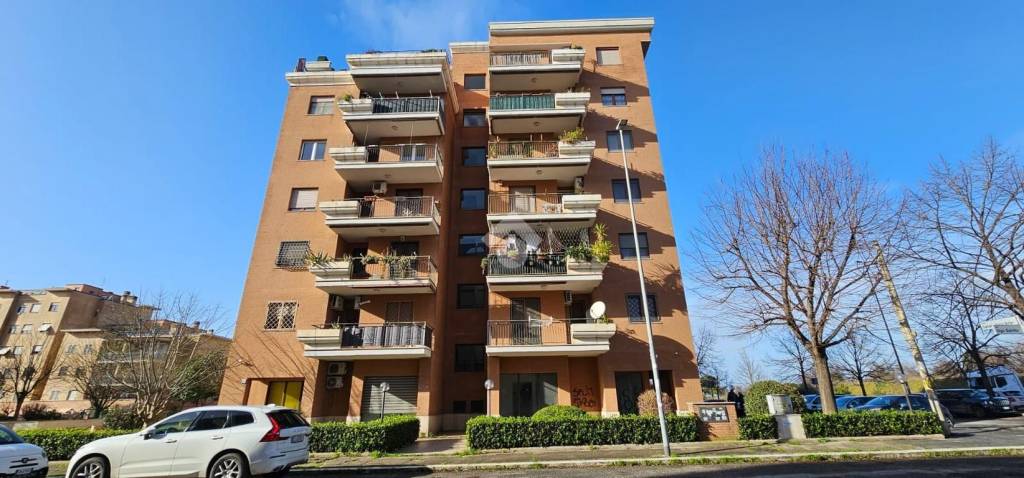 negozio in vendita a Roma in zona Tor Vergata/Torrenova