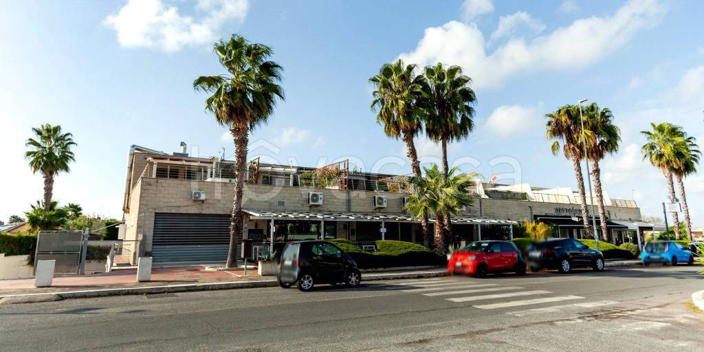 appartamento in vendita a Roma in zona Casal Palocco