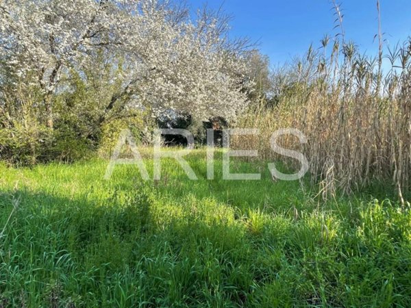 terreno agricolo in vendita a Roma in zona Casal Palocco