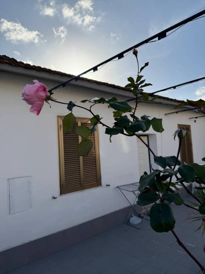 casa indipendente in vendita a Roma in zona Settecamini