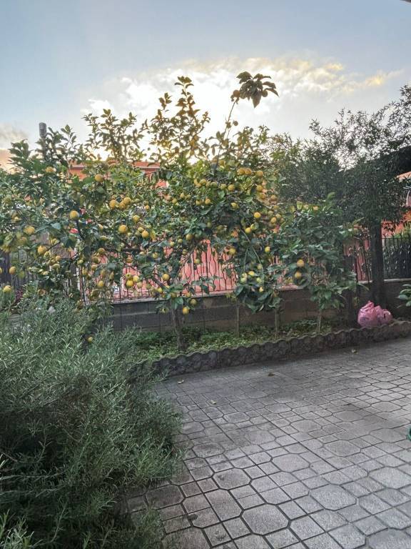appartamento in vendita a Roma in zona Tor Bella Monaca