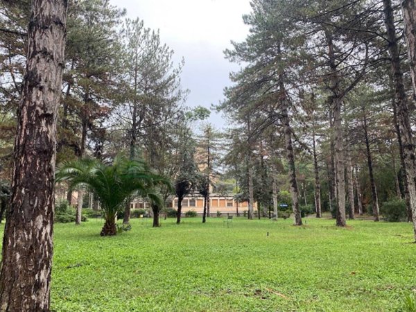 intera palazzina in vendita a Roma