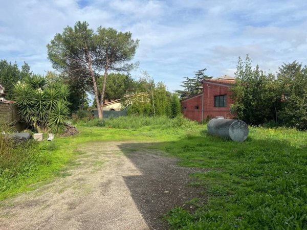 terreno agricolo in vendita a Roma in zona Tor Vergata/Torrenova
