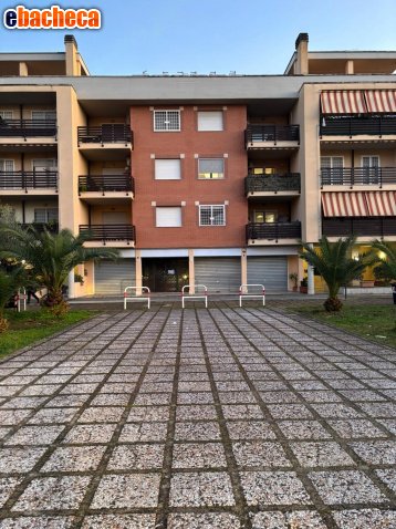 negozio in vendita a Roma in zona Settecamini
