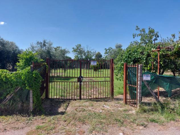 terreno agricolo in vendita a Roma in zona Fosso di San Giuliano